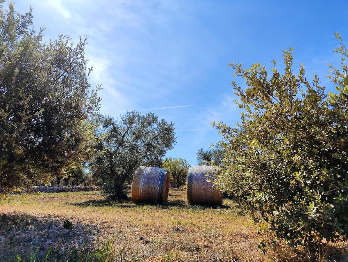 Come Una Volta - Il Trullo Alberobello Luaran gambar